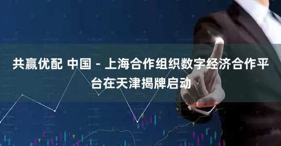 共赢优配 中国－上海合作组织数字经济合作平台在天津揭牌启动