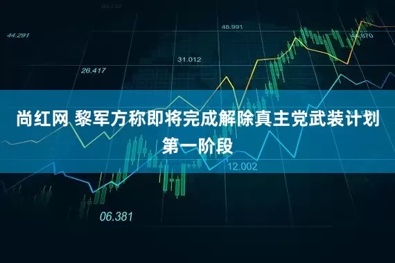 尚红网 黎军方称即将完成解除真主党武装计划第一阶段