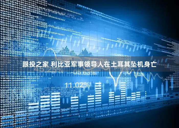 跟投之家 利比亚军事领导人在土耳其坠机身亡