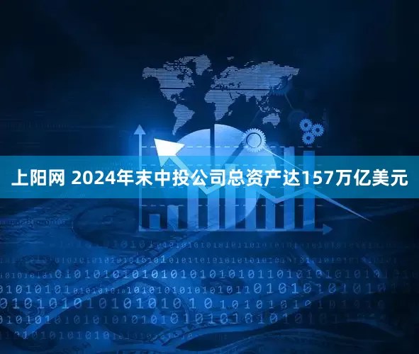上阳网 2024年末中投公司总资产达157万亿美元