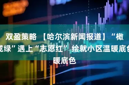 双盈策略 【哈尔滨新闻报道】“橄榄绿”遇上“志愿红” 绘就小区温暖底色
